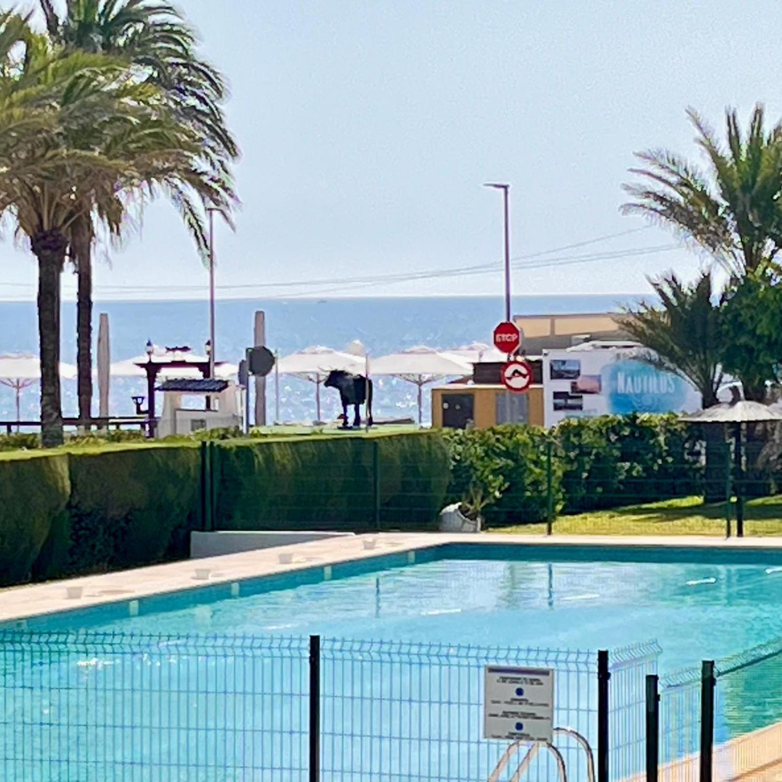 Sea View Apartment Beach Front Punta Prima Torrevieja Eksteriør billede