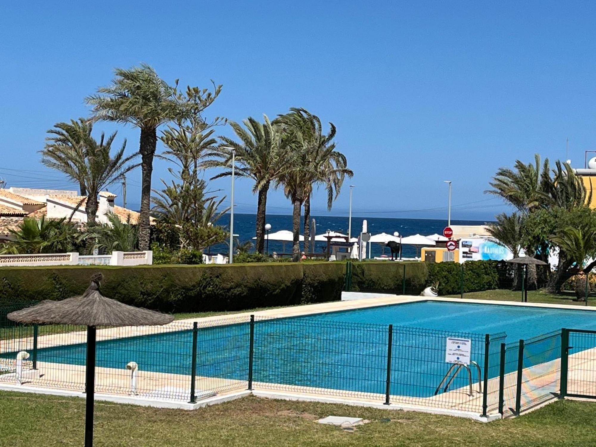Sea View Apartment Beach Front Punta Prima Torrevieja Eksteriør billede